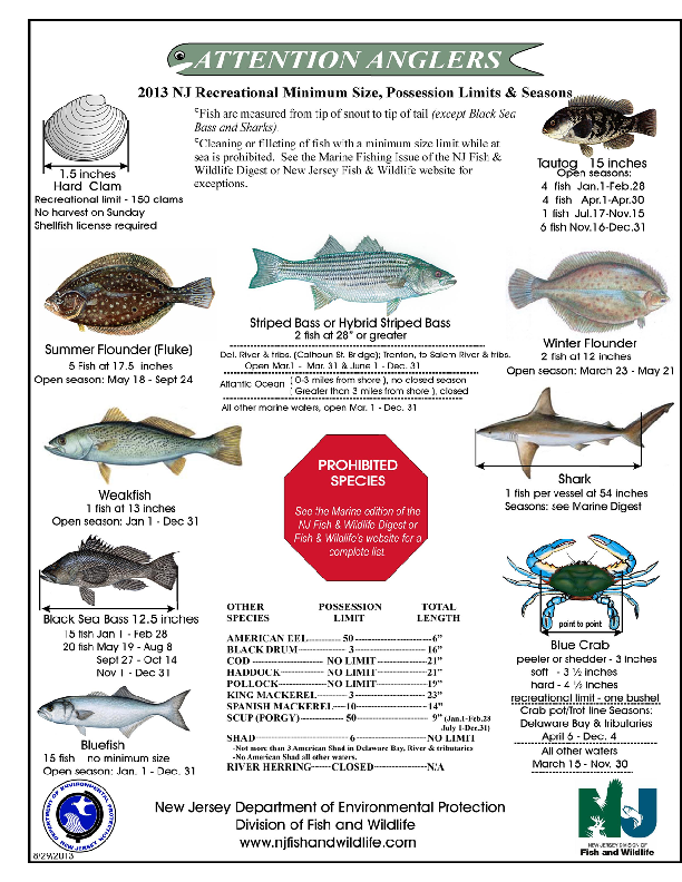 Nj Fishing Regulations NJ Trout Fishing Nj saltwater fishing