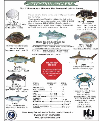 NJ Fishing Regulations 2011